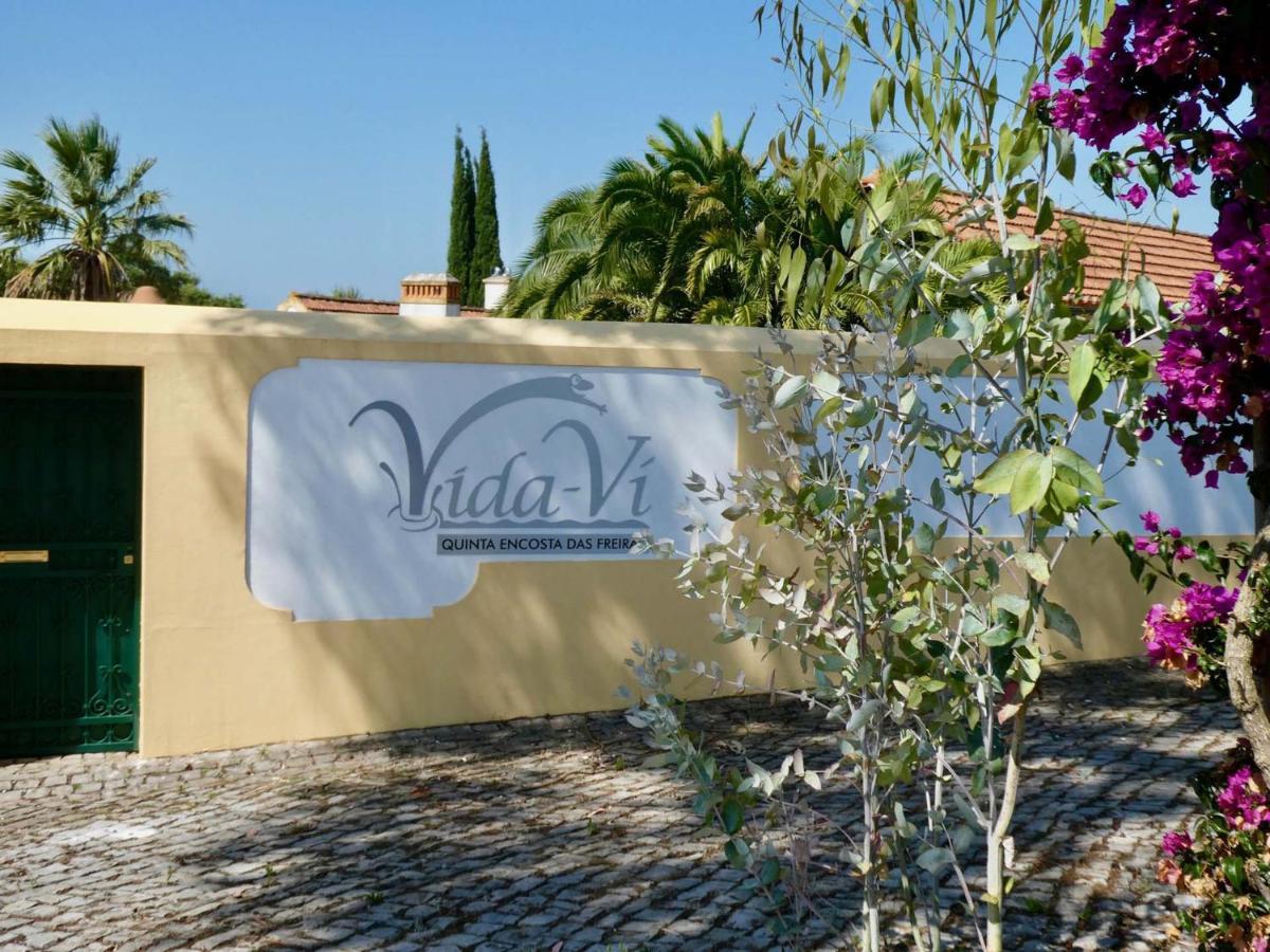 Vida-Vi, Country House And B&B Carvalhal Bemfeito Kültér fotó